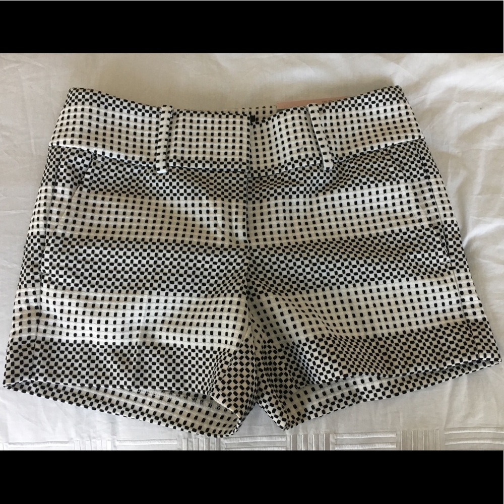 NWT Ann Taylor Shorts